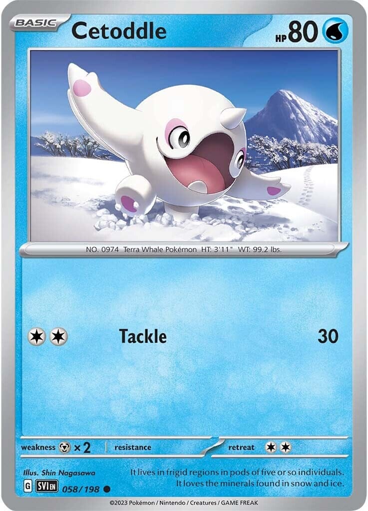 Cetoddle (058/198) [Scarlet & Violet: Base Set] Pokemon Single Pokémon  | Multizone: Comics And Games