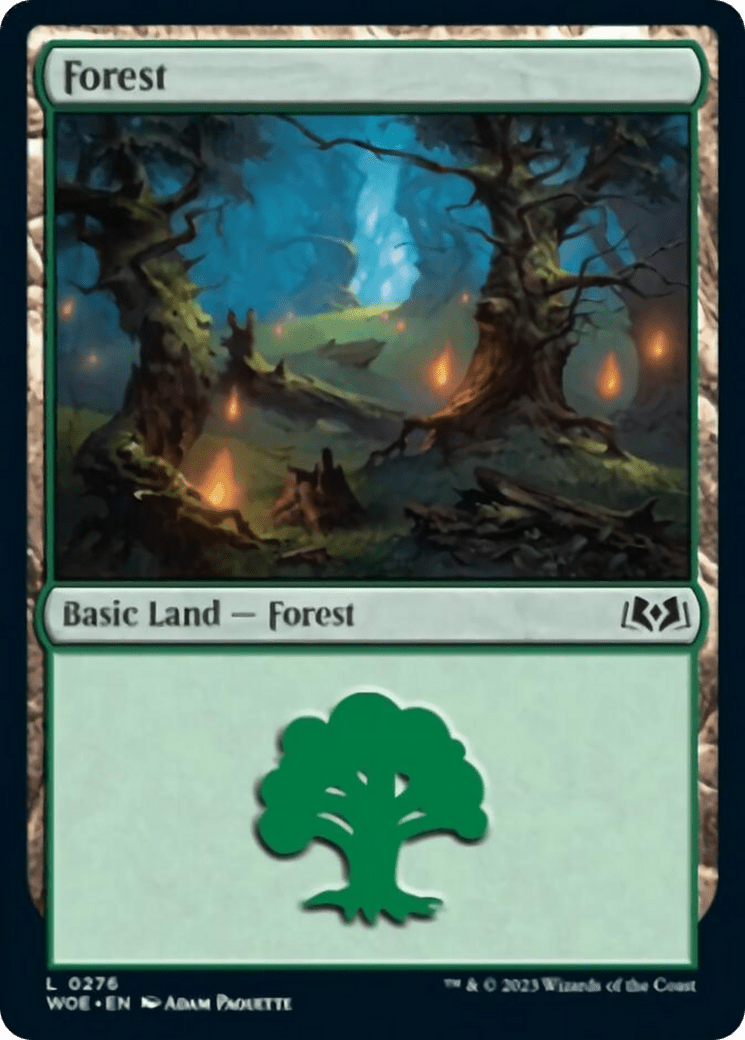 Forest (0276) [Wilds of Eldraine] MTG Single Magic: The Gathering  | Multizone: Comics And Games