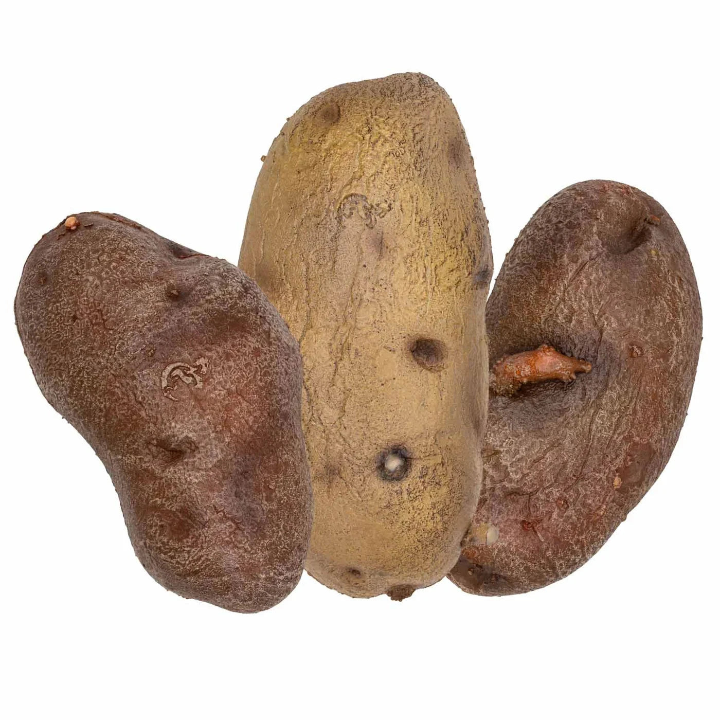 La Patate - Potato LARP Gear Calimacil  | Multizone: Comics And Games