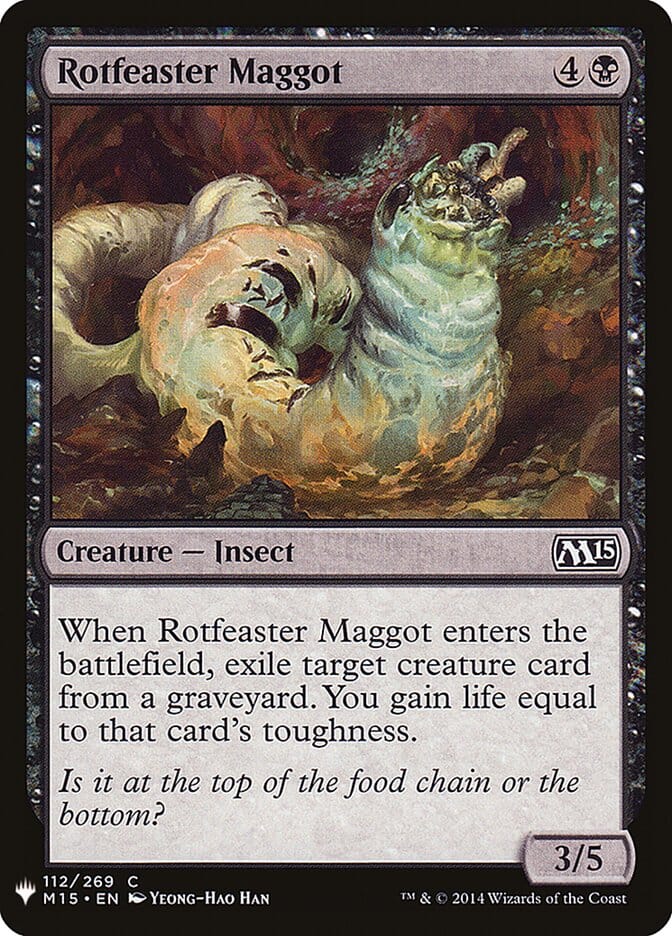 Rotfeaster Maggot [Mystery Booster] MTG Single Magic: The Gathering  | Multizone: Comics And Games