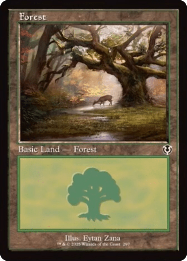 Forest (297) (Retro Frame) [Innistrad Remastered] MTG Single Magic: The Gathering  | Multizone: Comics And Games