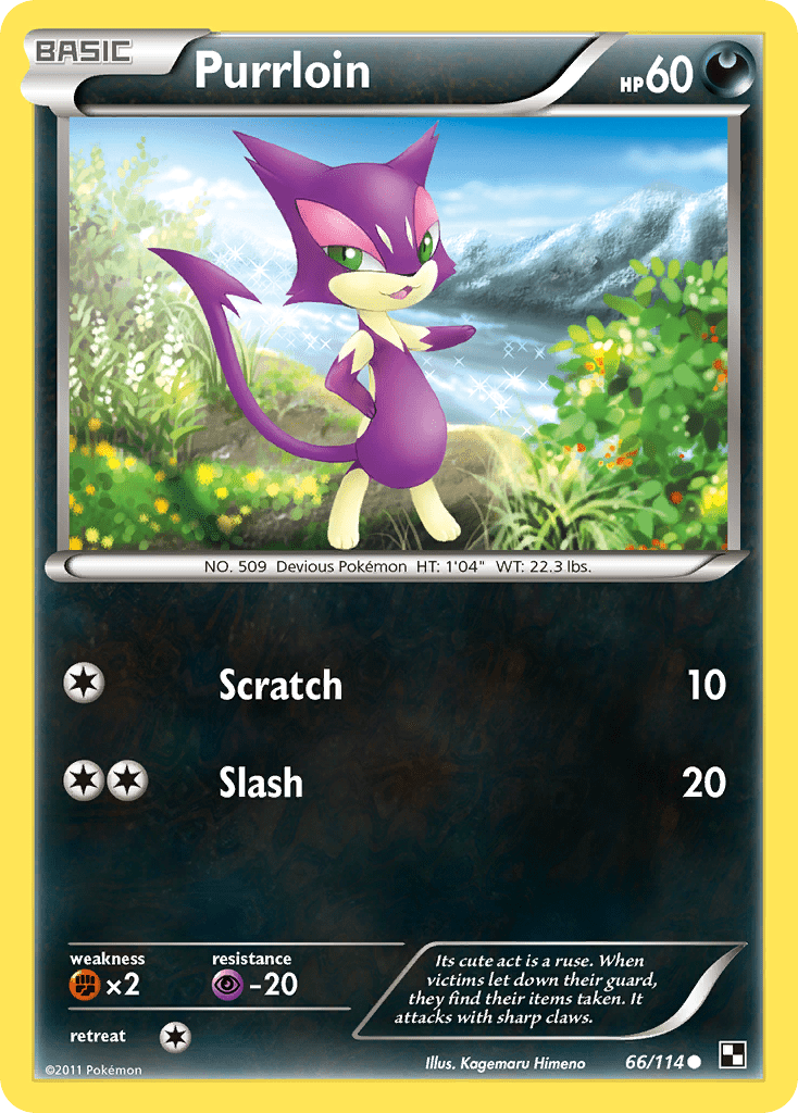 Purrloin (66/114) [Black & White: Base Set] Pokemon Single Pokémon  | Multizone: Comics And Games