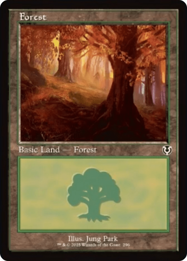 Forest (296) (Retro Frame) [Innistrad Remastered] MTG Single Magic: The Gathering  | Multizone: Comics And Games