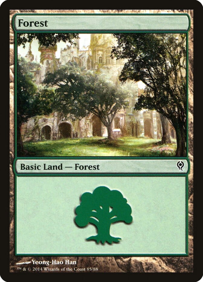 Forest (85) [Duel Decks: Jace vs. Vraska] MTG Single Magic: The Gathering  | Multizone: Comics And Games