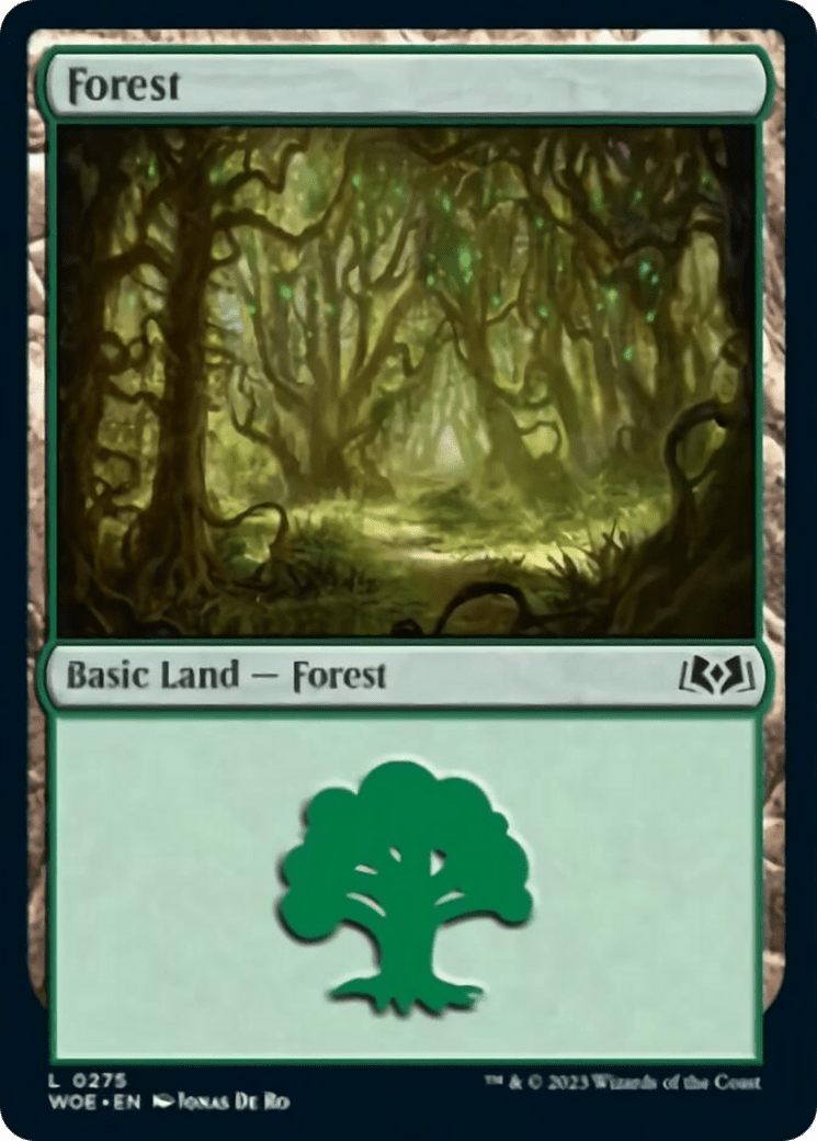 Forest (0275) [Wilds of Eldraine] MTG Single Magic: The Gathering  | Multizone: Comics And Games