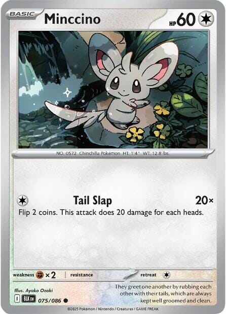 Minccino (075/086) [Scarlet & Violet: Black Bolt] Pokemon Single Pokémon  | Multizone: Comics And Games