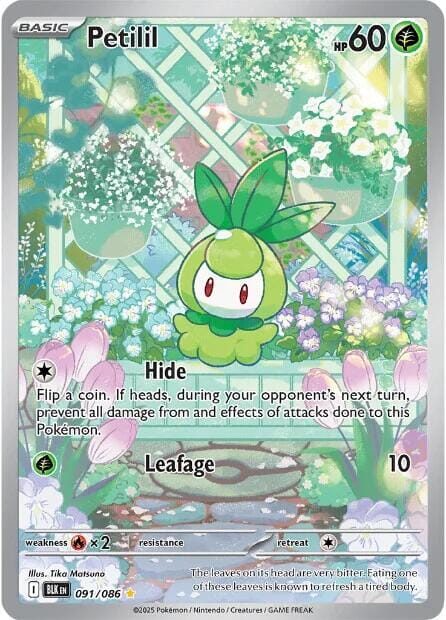 Petilil (091/086) [Scarlet & Violet: Black Bolt] Pokemon Single Pokémon  | Multizone: Comics And Games