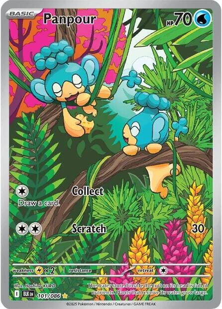 Panpour (101/086) [Scarlet & Violet: Black Bolt] Pokemon Single Pokémon  | Multizone: Comics And Games
