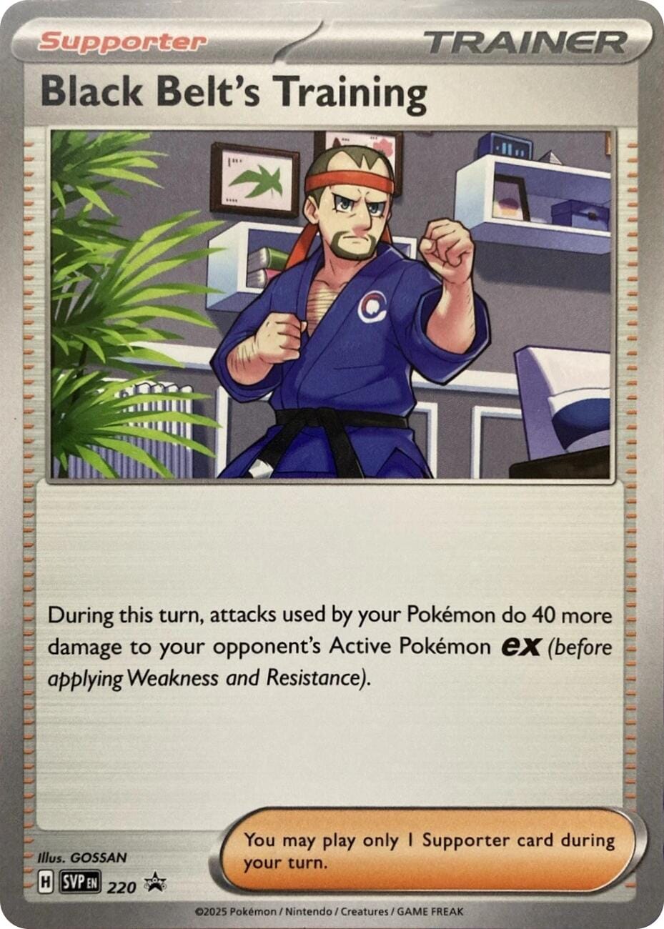 Black Belt's Training (220) [Scarlet & Violet: Black Star Promos] Pokemon Single Pokémon  | Multizone: Comics And Games