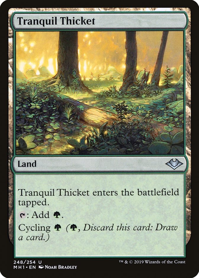 Tranquil Thicket [Modern Horizons] | Multizone: Comics And Games