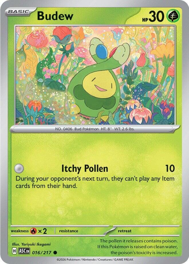 Budew (016/217) [Mega Evolution: Ascended Heroes] Pokemon Single Pokémon  | Multizone: Comics And Games