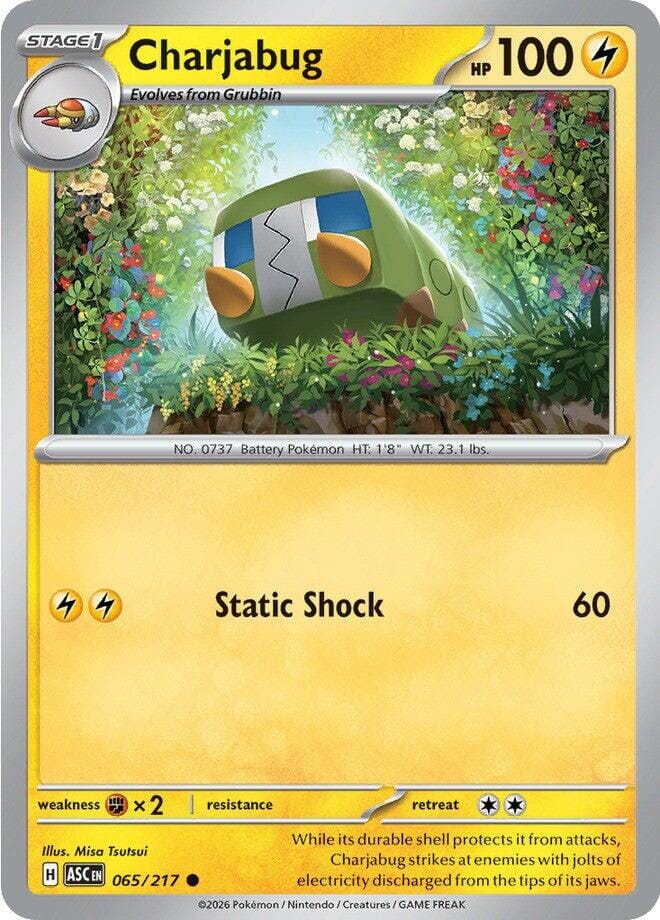 Charjabug (065/217) [Mega Evolution: Ascended Heroes] Pokemon Single Pokémon  | Multizone: Comics And Games