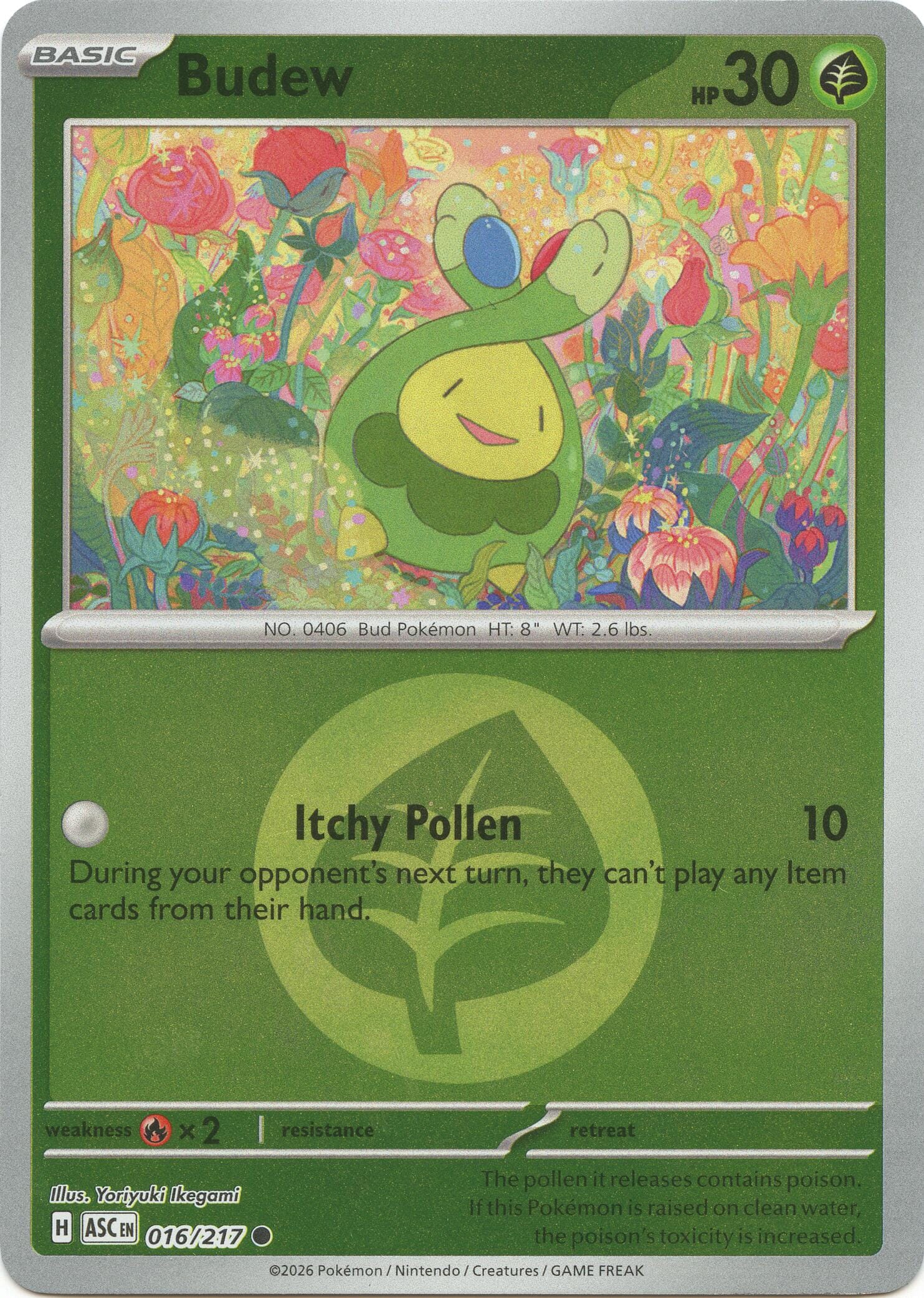 Budew (016/217) (Energy Symbol Pattern) [Mega Evolution: Ascended Heroes] Pokemon Single Pokémon  | Multizone: Comics And Games