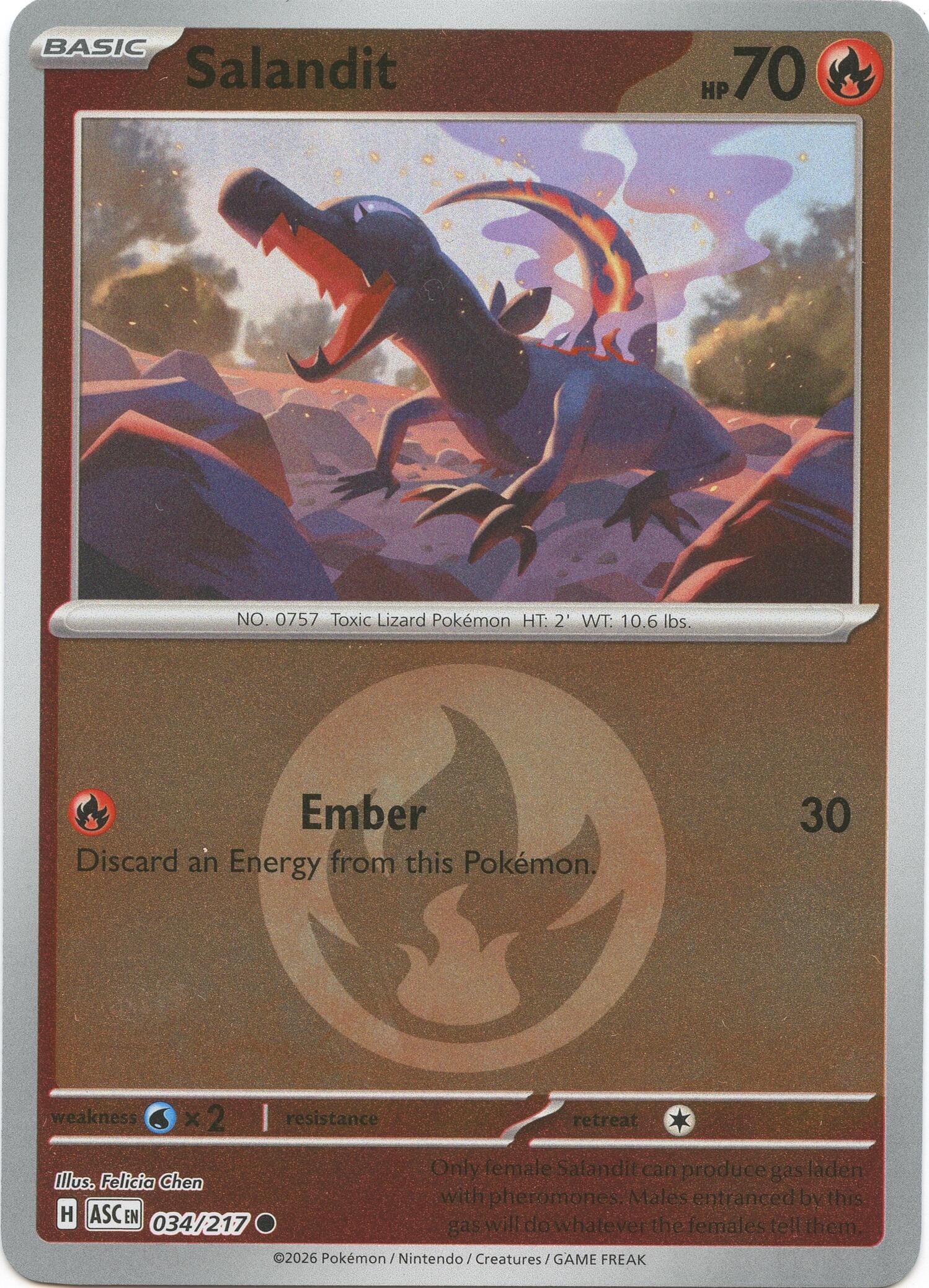 Salandit (034/217) (Energy Symbol Pattern) [Mega Evolution: Ascended Heroes] Pokemon Single Pokémon  | Multizone: Comics And Games
