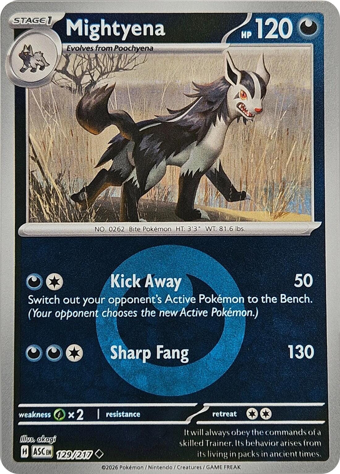 Mightyena (129/217) (Energy Symbol Pattern) [Mega Evolution: Ascended Heroes] Pokemon Single Pokémon  | Multizone: Comics And Games