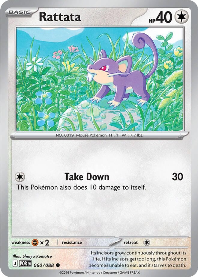 Rattata (060/088) [Mega Evolution: Perfect Order] Pokemon Single Pokémon  | Multizone: Comics And Games
