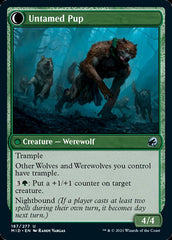 Hound Tamer // Untamed Pup [Innistrad: Midnight Hunt] MTG Single Magic: The Gathering  | Multizone: Comics And Games