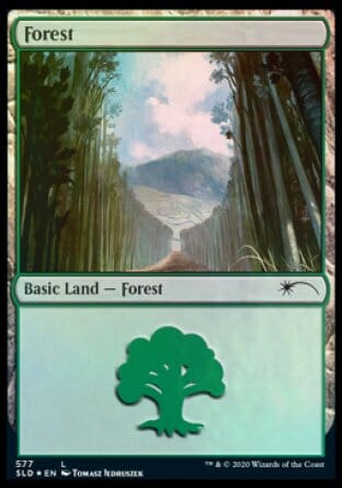 Forest (Walls) (577) [Secret Lair Drop Promos] MTG Single Magic: The Gathering  | Multizone: Comics And Games