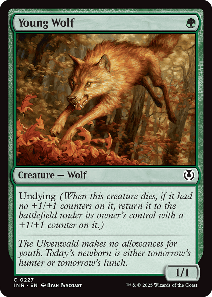 Young Wolf [Innistrad Remastered] MTG Single Magic: The Gathering  | Multizone: Comics And Games