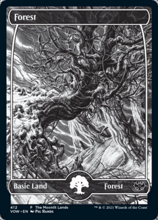 Forest (The Moonlit Lands) (Foil Etched) [Innistrad: Crimson Vow Promos] MTG Single Magic: The Gathering  | Multizone: Comics And Games
