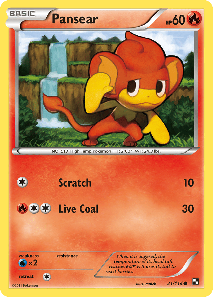 Pansear (21/114) [Black & White: Base Set] Pokemon Single Pokémon  | Multizone: Comics And Games
