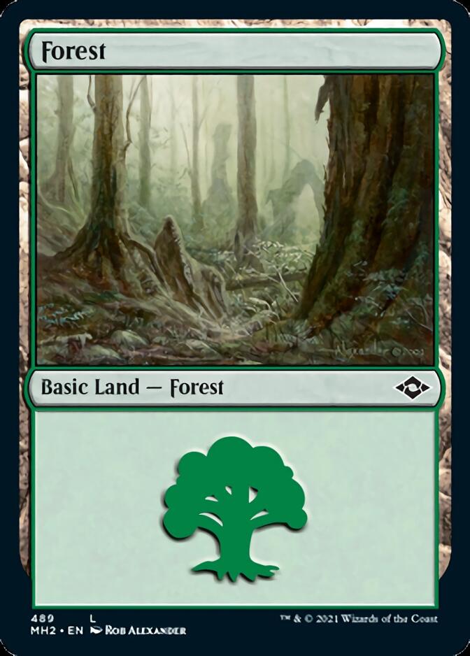 Forest (489) (Foil Etched) [Modern Horizons 2] | Multizone: Comics And Games