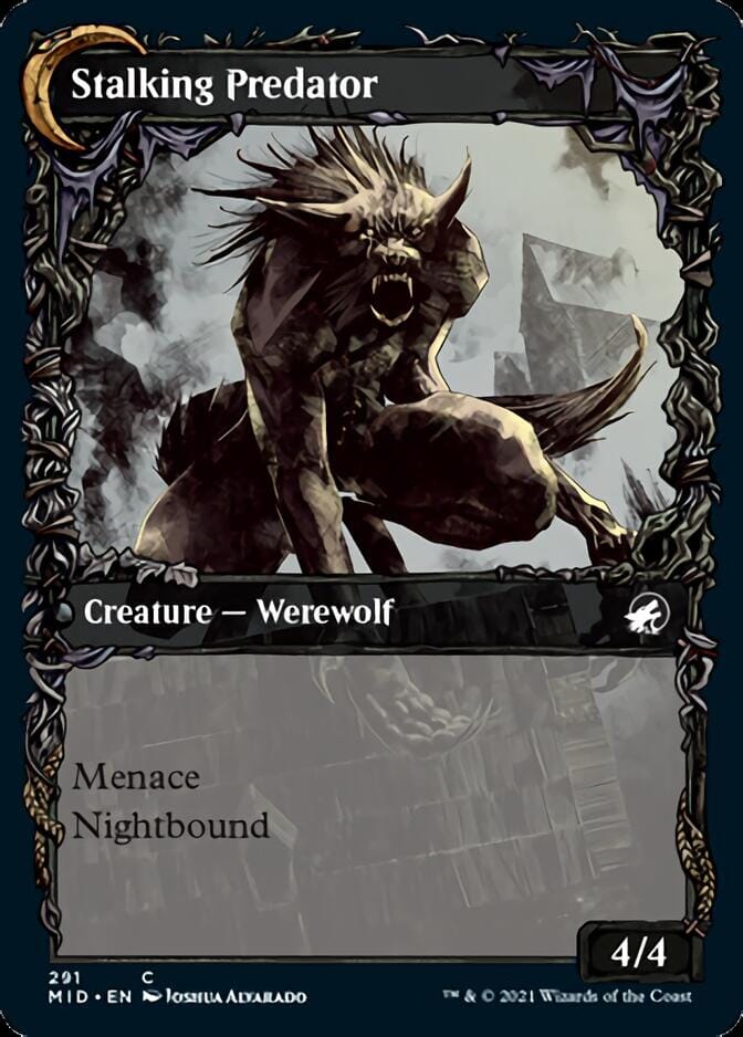 Shady Traveler // Stalking Predator (Showcase Equinox) [Innistrad: Midnight Hunt] MTG Single Magic: The Gathering  | Multizone: Comics And Games