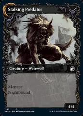 Shady Traveler // Stalking Predator (Showcase Equinox) [Innistrad: Midnight Hunt] MTG Single Magic: The Gathering  | Multizone: Comics And Games