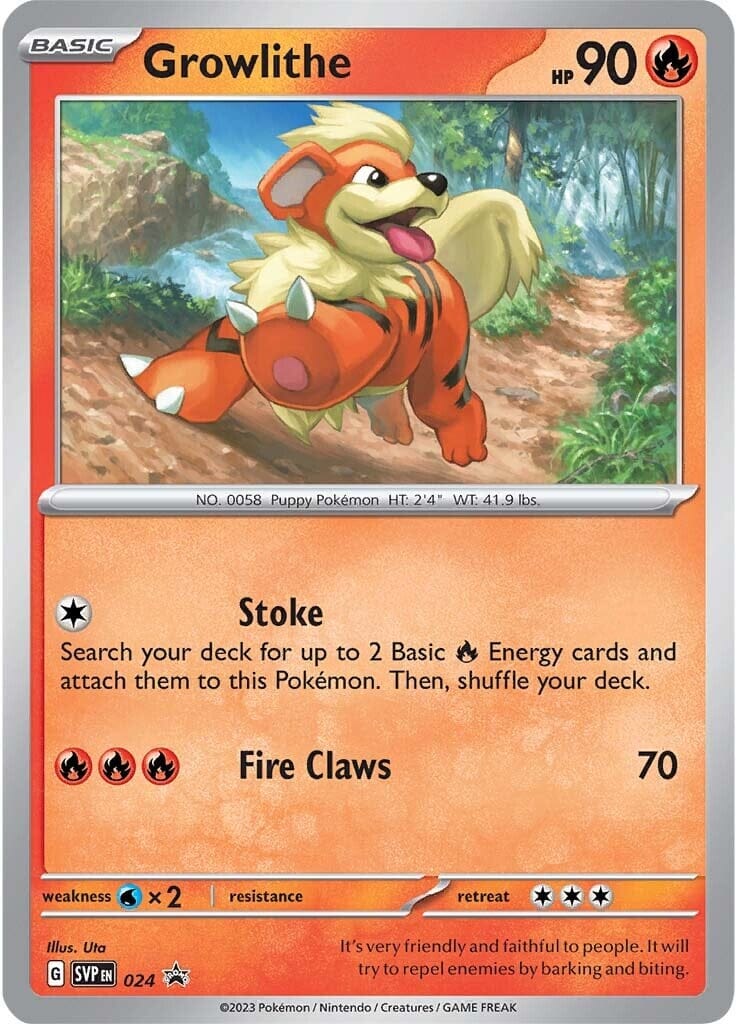 Growlithe (024) [Scarlet & Violet: Black Star Promos] Pokemon Single Pokémon  | Multizone: Comics And Games