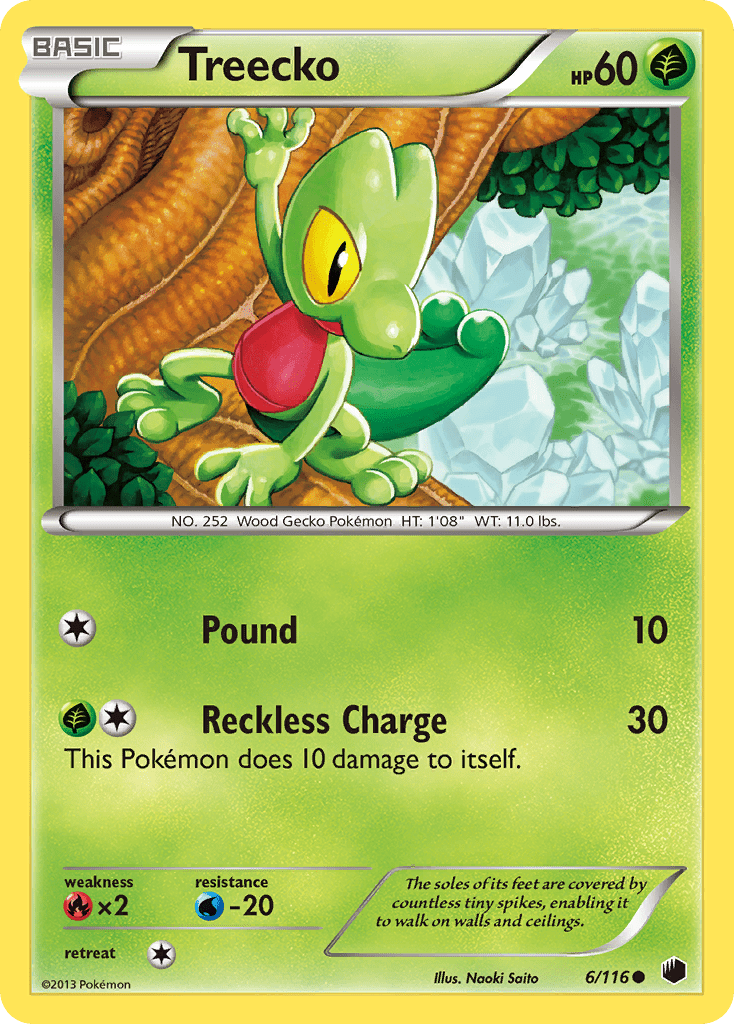 Treecko (6/116) [Black & White: Plasma Freeze] Pokemon Single Pokémon  | Multizone: Comics And Games