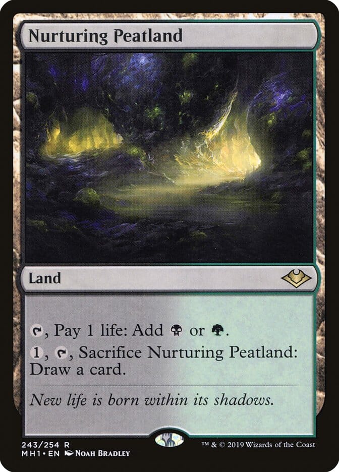 Nurturing Peatland [Modern Horizons] MTG Single Magic: The Gathering  | Multizone: Comics And Games