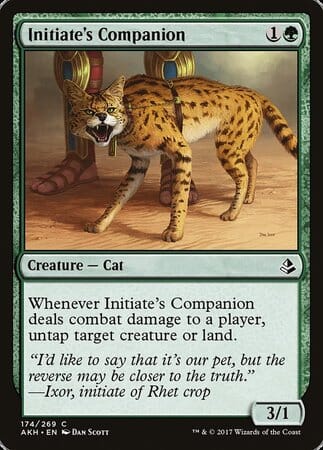 Initiate's Companion [Amonkhet] MTG Single Magic: The Gathering  | Multizone: Comics And Games