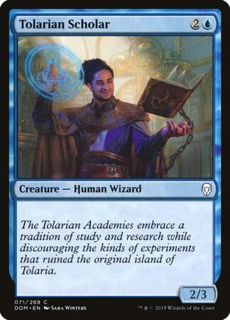 Tolarian Scholar [Dominaria] MTG Single Magic: The Gathering  | Multizone: Comics And Games