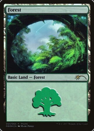 Forest (2017 Gift Pack - Poole) [2017 Gift Pack] MTG Single Magic: The Gathering  | Multizone: Comics And Games