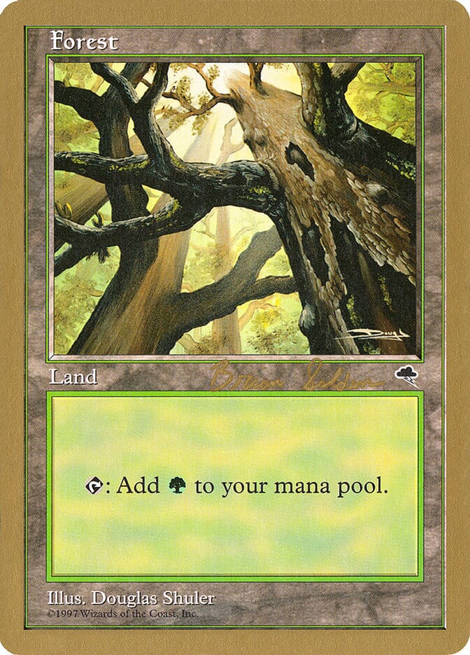 Forest (bs347) (Brian Selden) [World Championship Decks 1998] MTG Single Magic: The Gathering  | Multizone: Comics And Games