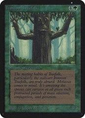 Ironroot Treefolk [Limited Edition Alpha] MTG Single Magic: The Gathering  | Multizone: Comics And Games