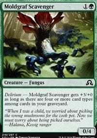 Moldgraf Scavenger [Shadows over Innistrad] MTG Single Magic: The Gathering  | Multizone: Comics And Games