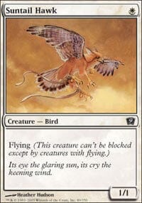 Suntail Hawk [Ninth Edition] MTG Single Magic: The Gathering  | Multizone: Comics And Games
