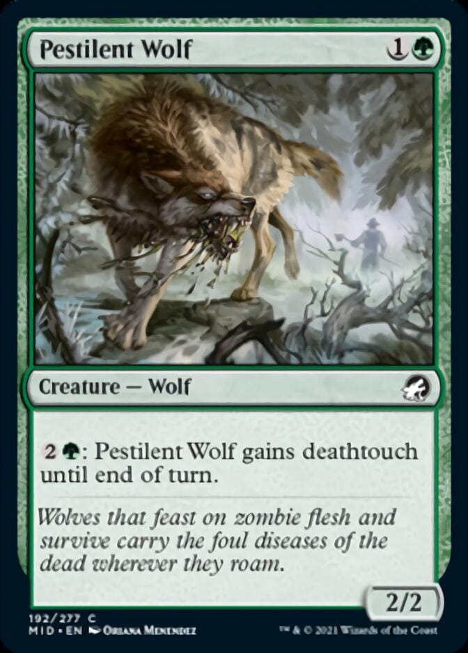 Pestilent Wolf [Innistrad: Midnight Hunt] MTG Single Magic: The Gathering  | Multizone: Comics And Games