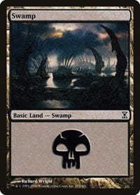 Swamp [Time Spiral] MTG Single Magic: The Gathering  | Multizone: Comics And Games