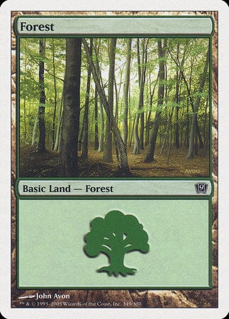 Forest (349) [Ninth Edition] MTG Single Magic: The Gathering  | Multizone: Comics And Games