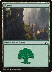 Forest [Guilds of Ravnica] MTG Single Magic: The Gathering  | Multizone: Comics And Games