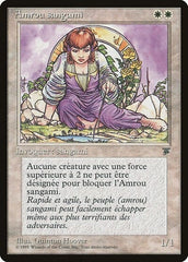 Amrou Kithkin (French) - "Amrou sangami" [Renaissance] MTG Single Magic: The Gathering  | Multizone: Comics And Games