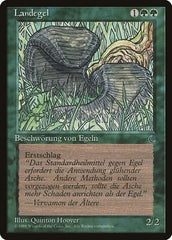 Land Leeches (German) - "Landegel" [Renaissance] MTG Single Magic: The Gathering  | Multizone: Comics And Games