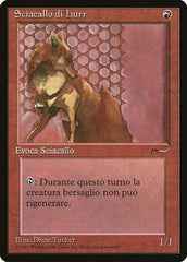 Hurr Jackal (Italian) - "Sciacallo di hurr" [Renaissance] MTG Single Magic: The Gathering  | Multizone: Comics And Games