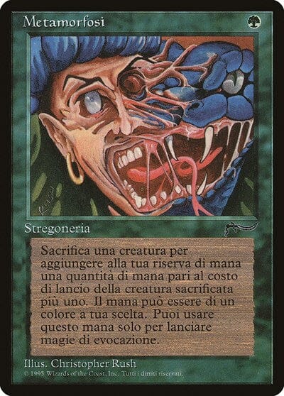 Metamorphosis (Italian) - "Metamorfosi" [Renaissance] MTG Single Magic: The Gathering  | Multizone: Comics And Games
