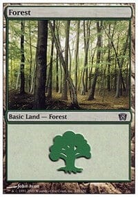 Forest [Eighth Edition] MTG Single Magic: The Gathering  | Multizone: Comics And Games