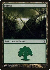 Forest [Time Spiral] MTG Single Magic: The Gathering  | Multizone: Comics And Games