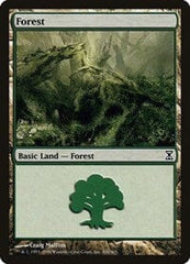 Forest [Time Spiral] MTG Single Magic: The Gathering  | Multizone: Comics And Games
