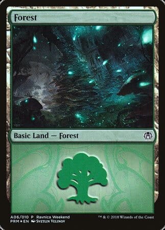 Forest - Golgari (A06) [GRN Ravnica Weekend] MTG Single Magic: The Gathering  | Multizone: Comics And Games